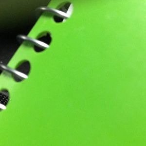 Meet your Posher, Barbara